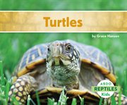 Turtles cover image
