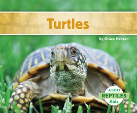 Turtles by Grace Hansen (eBook)