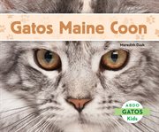 Gatos Maine coon cover image