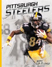 Pittsburgh steelers cover image