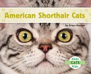American shorthair cats cover image