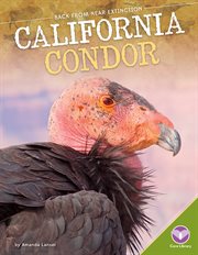 California condor cover image