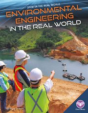 Environmental engineering in the real world cover image