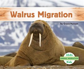 Cover image for Walrus Migration