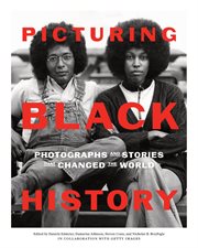Picturing Black History