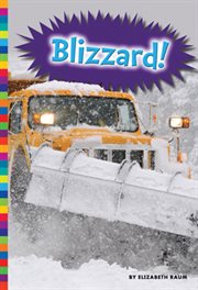 Blizzard! cover image