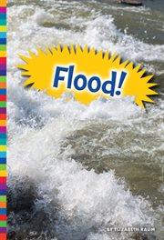 Flood! cover image