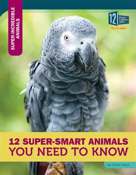 Cover image for 12 Super-Smart Animals You Need to Know