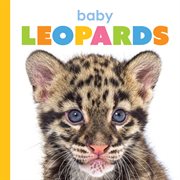 Baby Leopards cover image