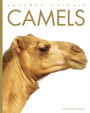 Camels cover image