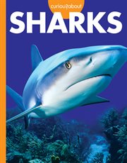 Curious About Sharks cover image