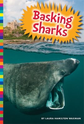 Cover image for Basking Sharks
