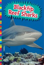 Blacktip reef sharks cover image