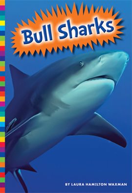 Cover image for Bull Sharks
