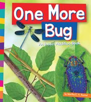 One more bug. An Insect Addition Book cover image