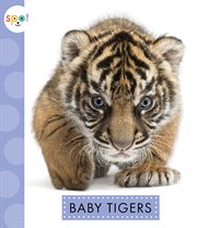 Baby tigers cover image