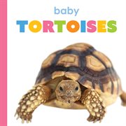 Baby Tortoises cover image