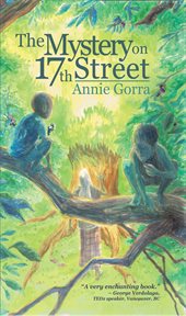 The mystery on 17th street cover image