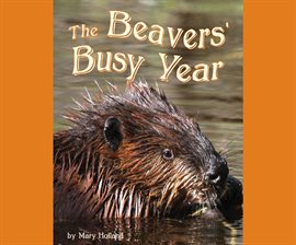 Cover image for The Beavers' Busy Year