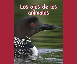 Cover image for Los ojos de los animales (Animal Eyes)