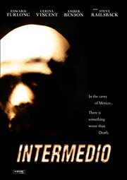 Intermedio the inbetween cover image