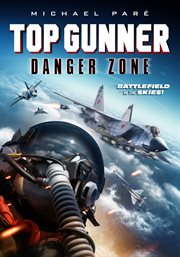 Top gunner: danger zone cover image