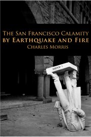 The san francisco calamity cover image
