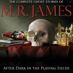 After dark in the playing fields cover image