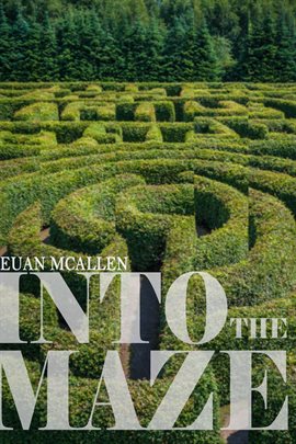 Cover image for Into The Maze