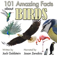 Cover image for 101 Amazing Facts about Birds