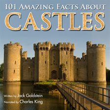 Cover image for 101 Amazing Facts About Castles