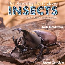 Cover image for 101 Amazing Facts About Insects