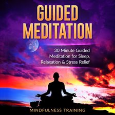 Guided Meditation Audiobook by Mindfulness Training - hoopla