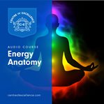 Energy anatomy cover image