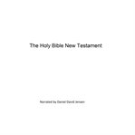 THE HOLY BIBLE NEW TESTAMENT cover image