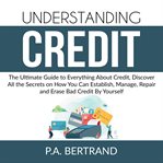 Understanding credit: the ultimate guide to everything about credit, discover all the secrets on cover image