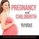 Pregnancy and childbirth bundle, 3 in 1 bundle: pregnancy brain,  pregnancy food and expecting be cover image
