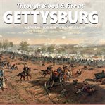 Through blood and fire at gettysburg cover image