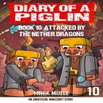 Attacked by the nether dragon cover image