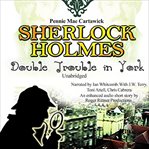 Sherlock Holmes : the definitive fuires collection cover image