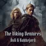 Viking ventures cover image