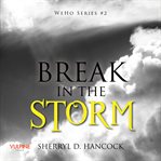 BREAK IN THE STORM cover image
