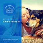 Animal welfare cover image