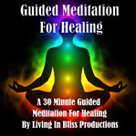 GUIDED MEDITATION FOR HEALING: A 30 MINU cover image
