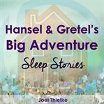 HANSEL & GRETEL'S BIG ADVENTURE cover image