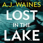 Lost in the lake cover image