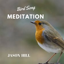 Cover image for Bird Song Meditation