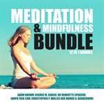 MEDITATION AND MINDFULNESS BUNDLE: 12 IN cover image