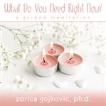 What Do You Need Right Now? cover image
