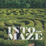 Into the maze cover image
